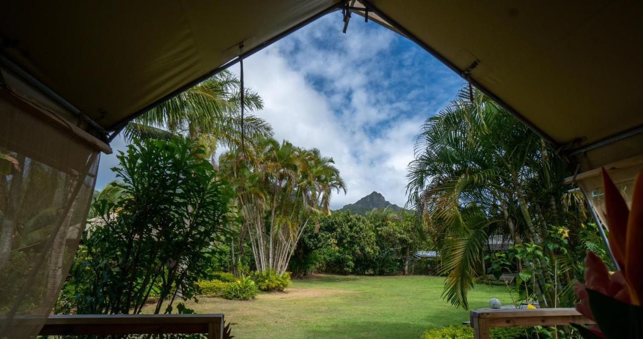 Hotel Ikurangi Eco Retreat à Rarotonga Extérieur photo